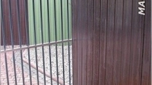 Galinė siena iš akrilinės skardos pagal mūsų spalvų palete